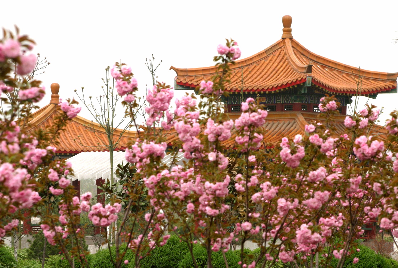 1532483611980.jpg 2国花园-欧阳修亭05.jpg