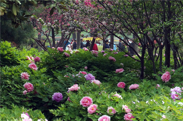 1576203765704.png 图片1.png